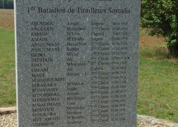 Les Comores dans la Première Guerre mondiale