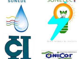 Crise des entreprises publiques