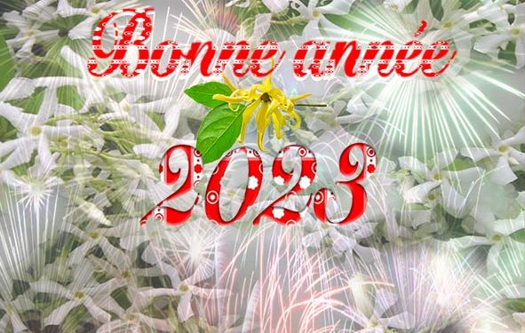 Bonne année 2023