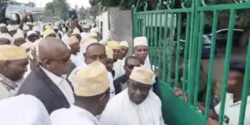 Élections 2024. Les candidatures