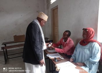 Élections 2024. Tsinimoichongo a voté