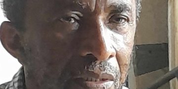 Parlez- moi des élections !