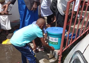 Seule véritable solution : privatiser El Maarouf !