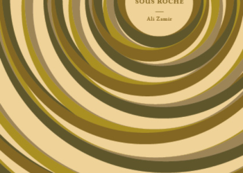 Coup de cœur littéraire. « Anguille sous roche » d’Ali Zamir : Un exploit littéraire sous un fond dramatique