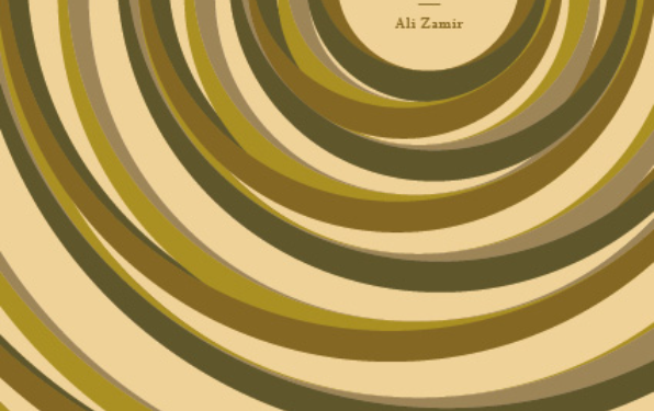 Coup de cœur littéraire. « Anguille sous roche » d’Ali Zamir : Un exploit littéraire sous un fond dramatique