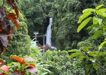 Février. Des drames endeuillent l’île d’Anjouan
