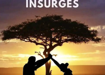 Mirsoid Ibrahim : un nouveau-né dans la littérature comorienne