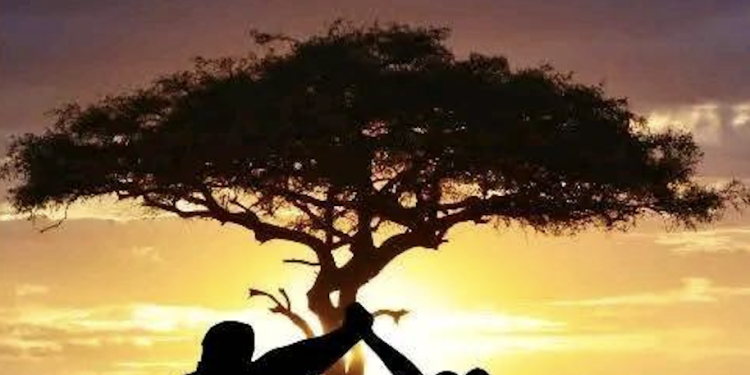 Mirsoid Ibrahim : un nouveau-né dans la littérature comorienne