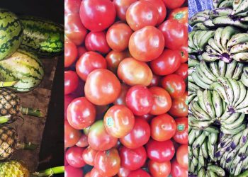 Le Marché de la Couleur et de la Saveur