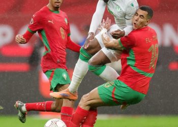 Can 2025. La deuxième participation des Cœlacanthes a tourné court