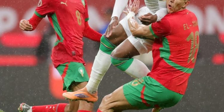 Can 2025. La deuxième participation des Cœlacanthes a tourné court