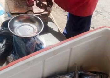 La pêche aux Comores. Un secteur vital pour l’économie comorienne