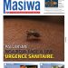 Masiwa N°590