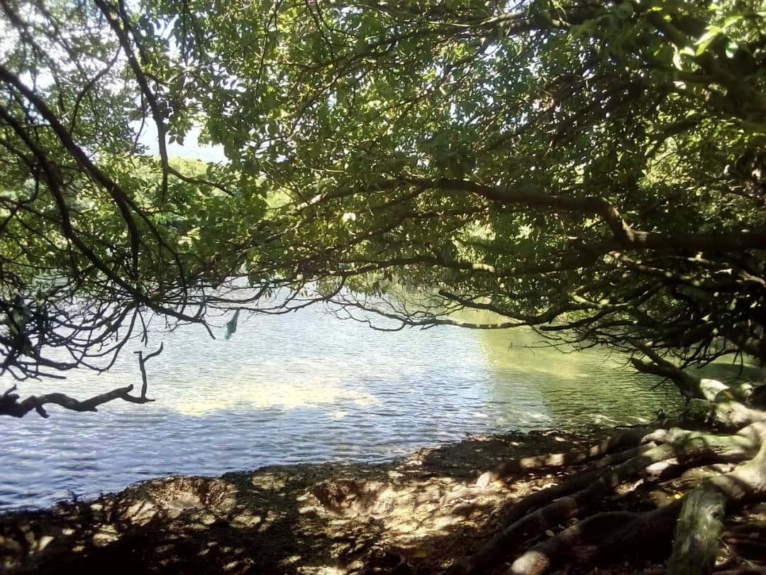 Fête de l’environnement : La lagune d’Iconi , Un écosystème à protéger