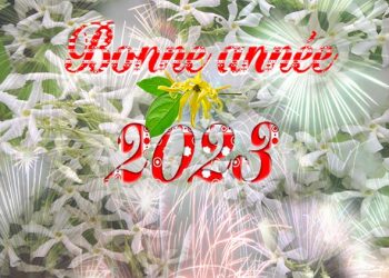 Bonne année 2023