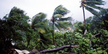 Comores. Tempêtes et environnement