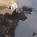 Le corps d’un nouveau-né retrouvé dans la rivière de Mutsamudu