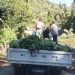 Anjouan, un potentiel agricole ignoré des décideurs