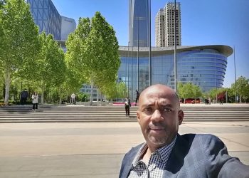 Transfert de savoir-faire Chine-Afrique. Comment les Comores transposent le miracle industriel chinois