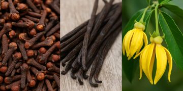 La filière des produits de rente aux Comores s’éteint lentement