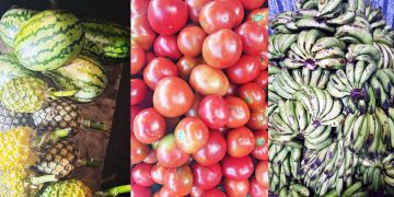Le Marché de la Couleur et de la Saveur
