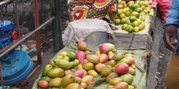 Les fruits abondent, mais peinent à nourrir l’économie comorienne