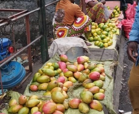 Les fruits abondent, mais peinent à nourrir l’économie comorienne
