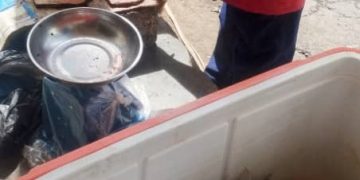 La pêche aux Comores. Un secteur vital pour l’économie comorienne