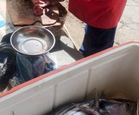 La pêche aux Comores. Un secteur vital pour l’économie comorienne