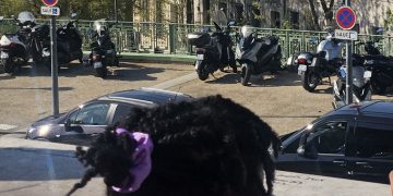La moitié d’une famille comorienne décède tragiquement à Toulon