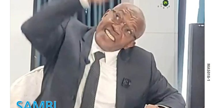 Masiwa N°588